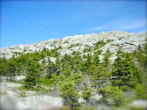 MtMonadnock2-AmpitheaterTrail1-summit-4-21-02-JB