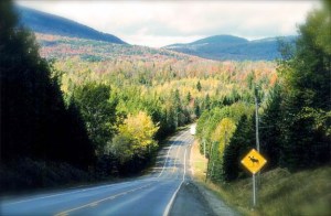 old-canada-road